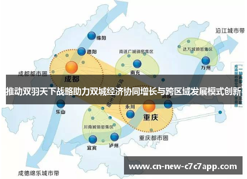 推动双羽天下战略助力双城经济协同增长与跨区域发展模式创新