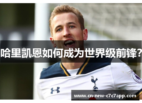 哈里凯恩如何成为世界级前锋? 哈里凯恩如何成为世界级前锋?