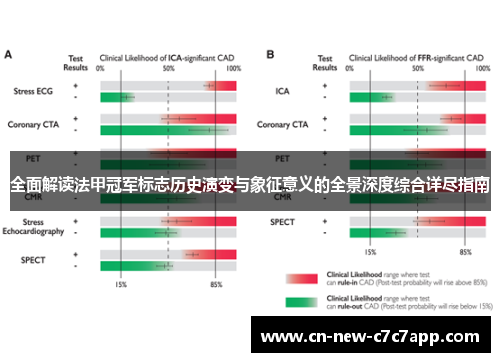 全面解读法甲冠军标志历史演变与象征意义的全景深度综合详尽指南 全面解读法甲冠军标志历史演变与象征意义的全景深度综合详尽指南