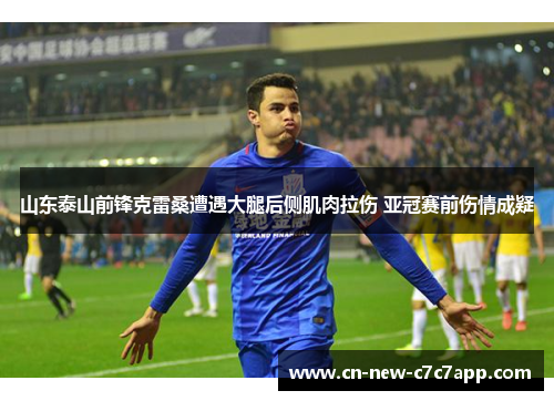 山东泰山前锋克雷桑遭遇大腿后侧肌肉拉伤 亚冠赛前伤情成疑