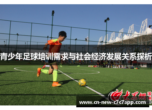 青少年足球培训需求与社会经济发展关系探析